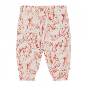 Molo Selena Pants Jeans Meisje Red Horses | NL0001384