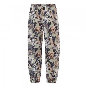 Molo Waits Regenkleding Pups Camo | NL0000096