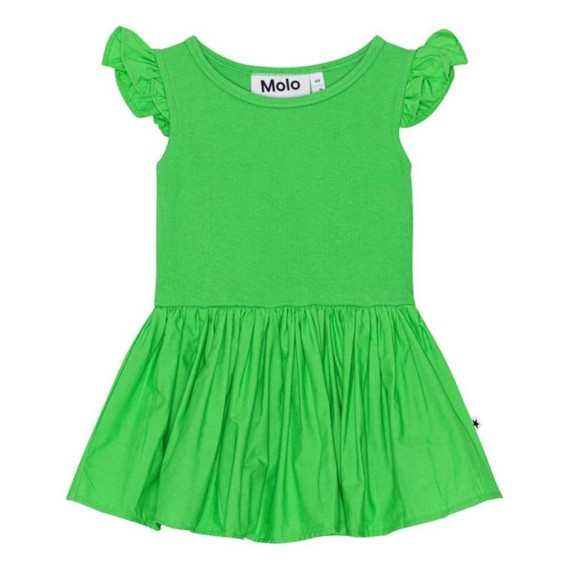 Molo Cimi Jurken Meisje Classic Green | NL0001302