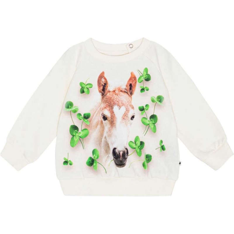 Molo Disc Sweatshirts Cardigans Meisje Clover Foal | NL0001406