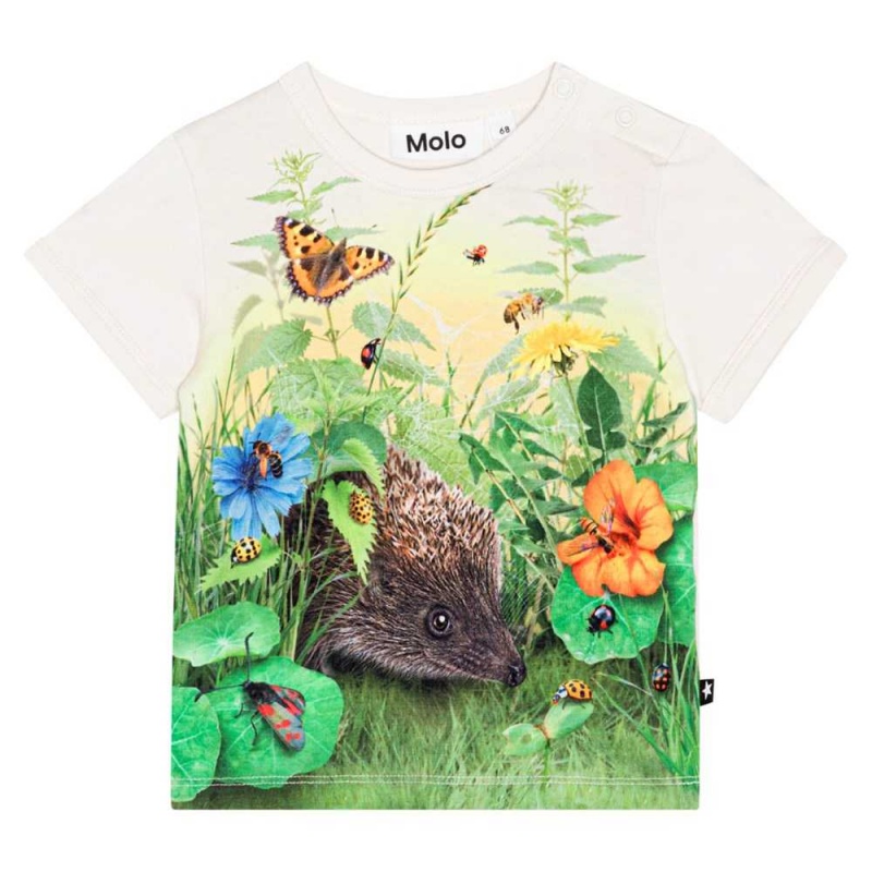 Molo Easy T Shirts Tops Jongen Living Garden | NL0001420