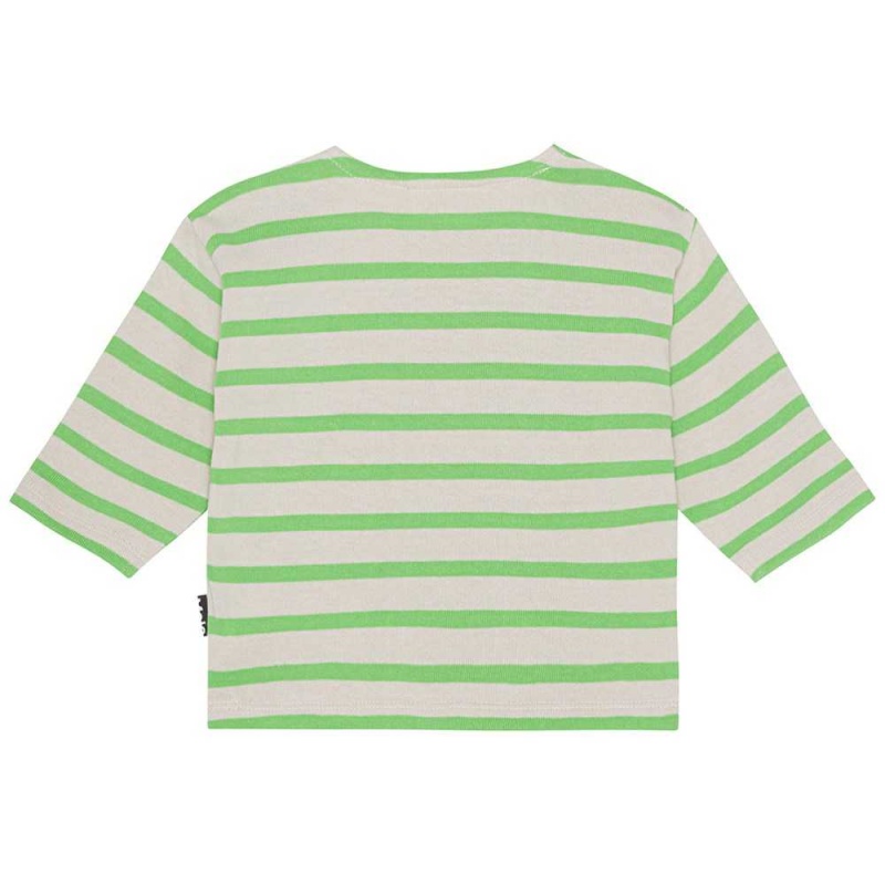 Molo Edarko T Shirts Tops Jongen Grass Stripe | NL0001422