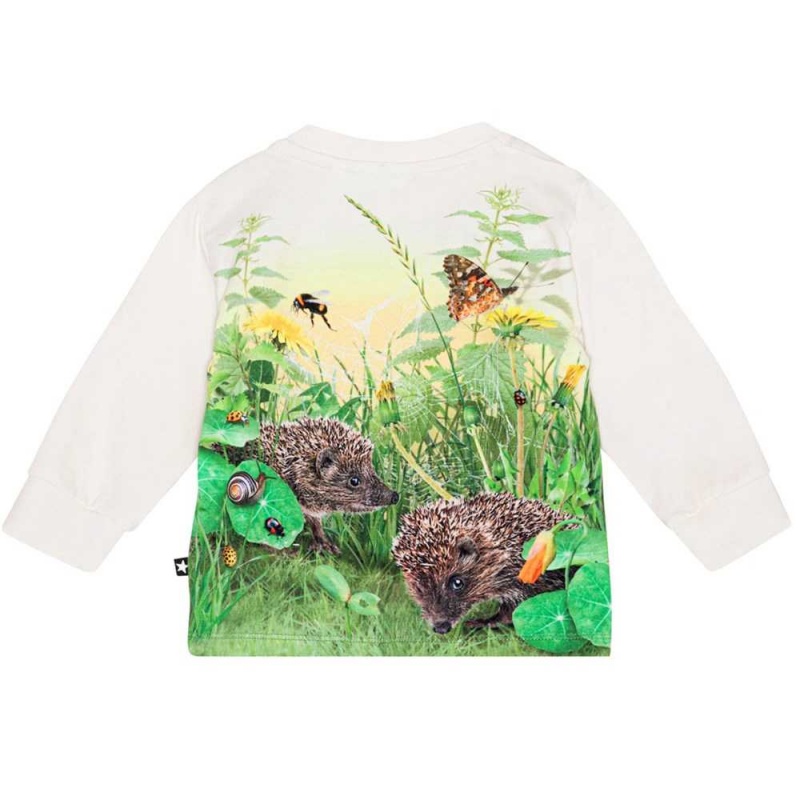 Molo Eloy T Shirts Tops Jongen Living Garden | NL0001417