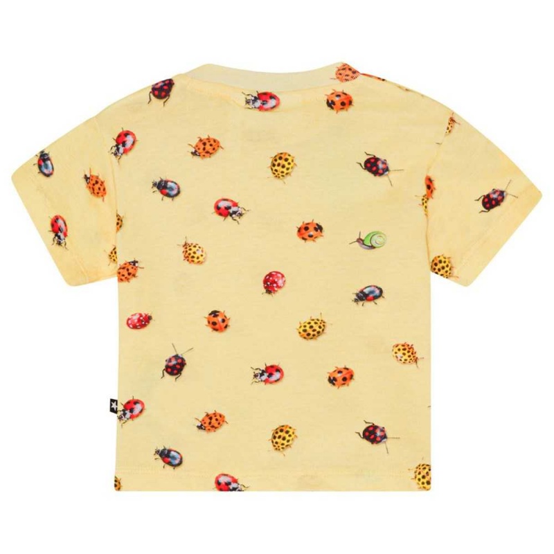 Molo Enzo T Shirts Tops Jongen Coccinella | NL0001411