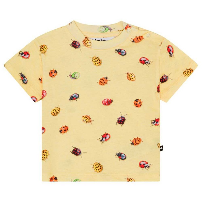 Molo Enzo T Shirts Tops Jongen Coccinella | NL0001411