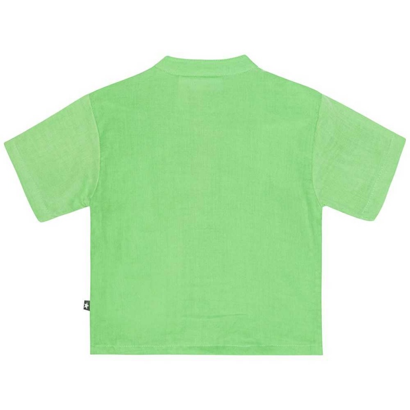 Molo Ever T Shirts Tops Jongen Grass Green | NL0001419