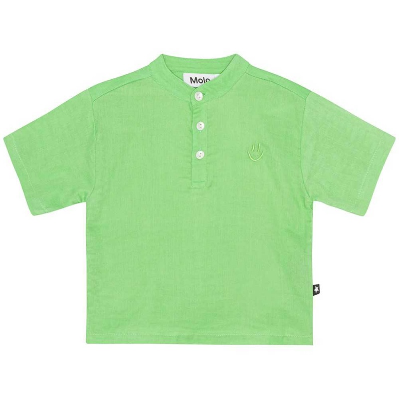 Molo Ever T Shirts Tops Jongen Grass Green | NL0001419