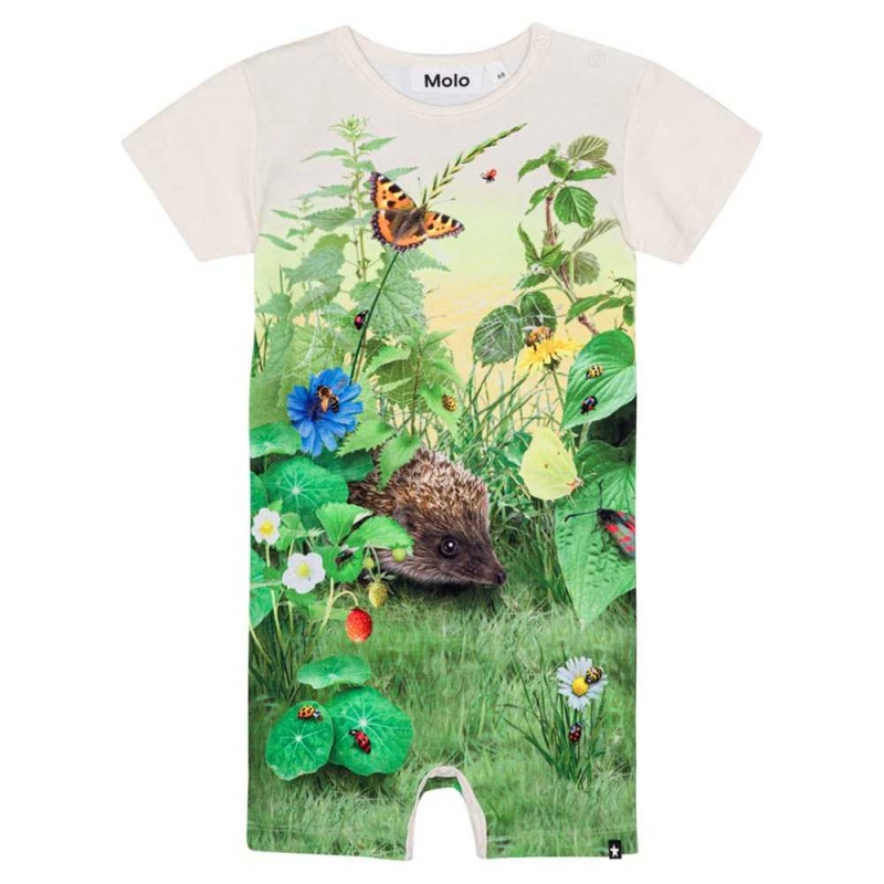 Molo Finn Bodies Babysuits Jongen Nature Living | NL0001246