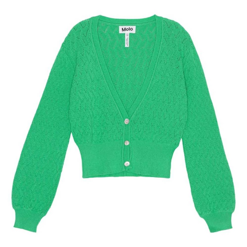 Molo Glory Sweatshirts Cardigans Meisje Chalk Green | NL0000310