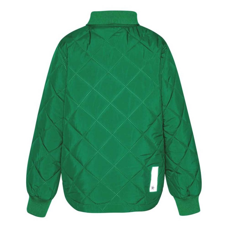 Molo Hallow Fleece Softshell Vivid Green | NL0000146