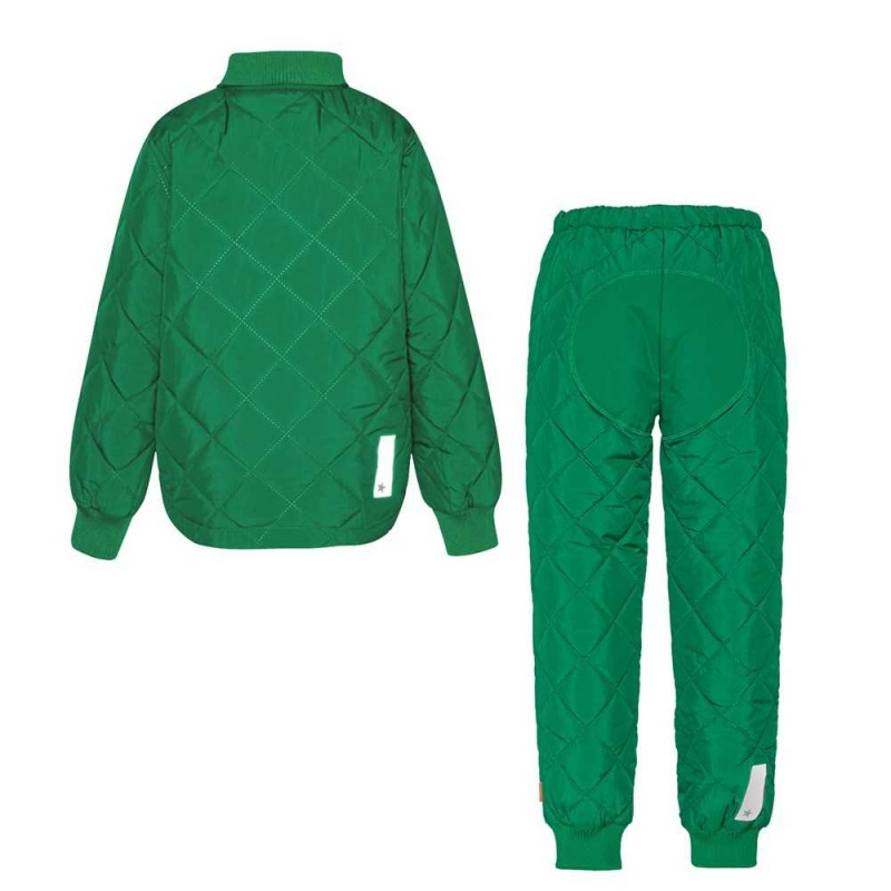 Molo Hawkins Fleece Softshell Vivid Green | NL0000148