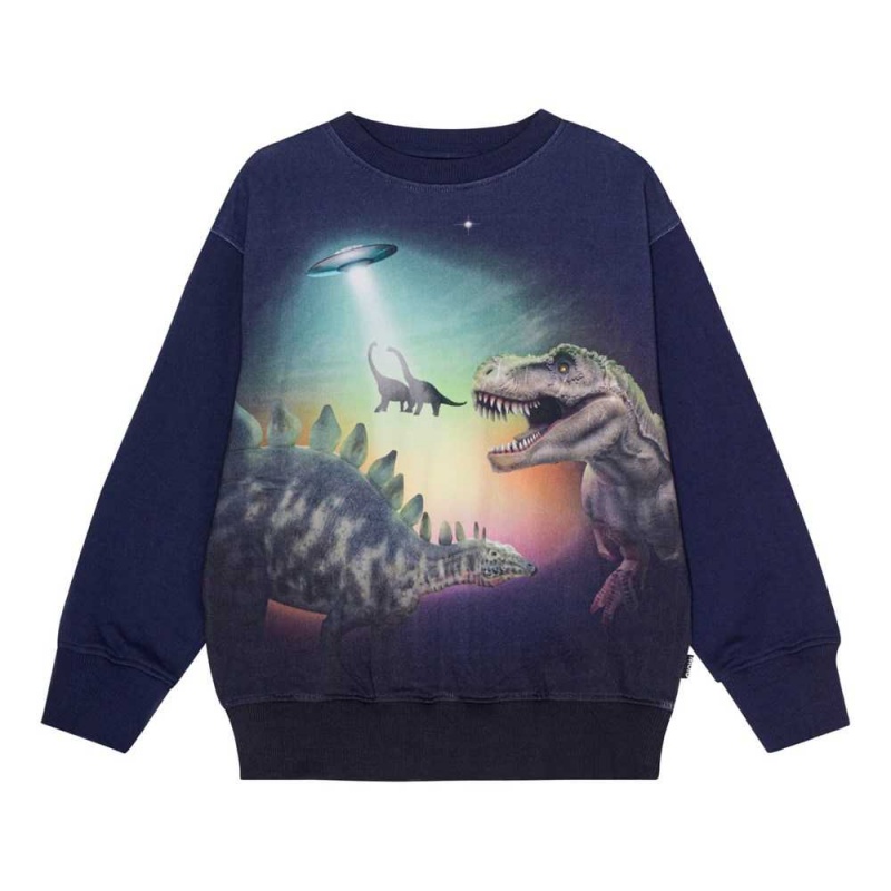 Molo Mattis Sweatshirts Cardigans Jongen Beam Up Dinos | NL0000755