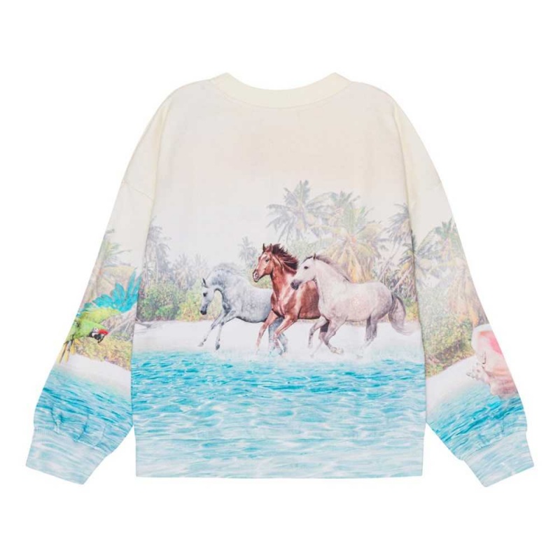 Molo Maxi Sweatshirts Cardigans Meisje Island Horse | NL0000469