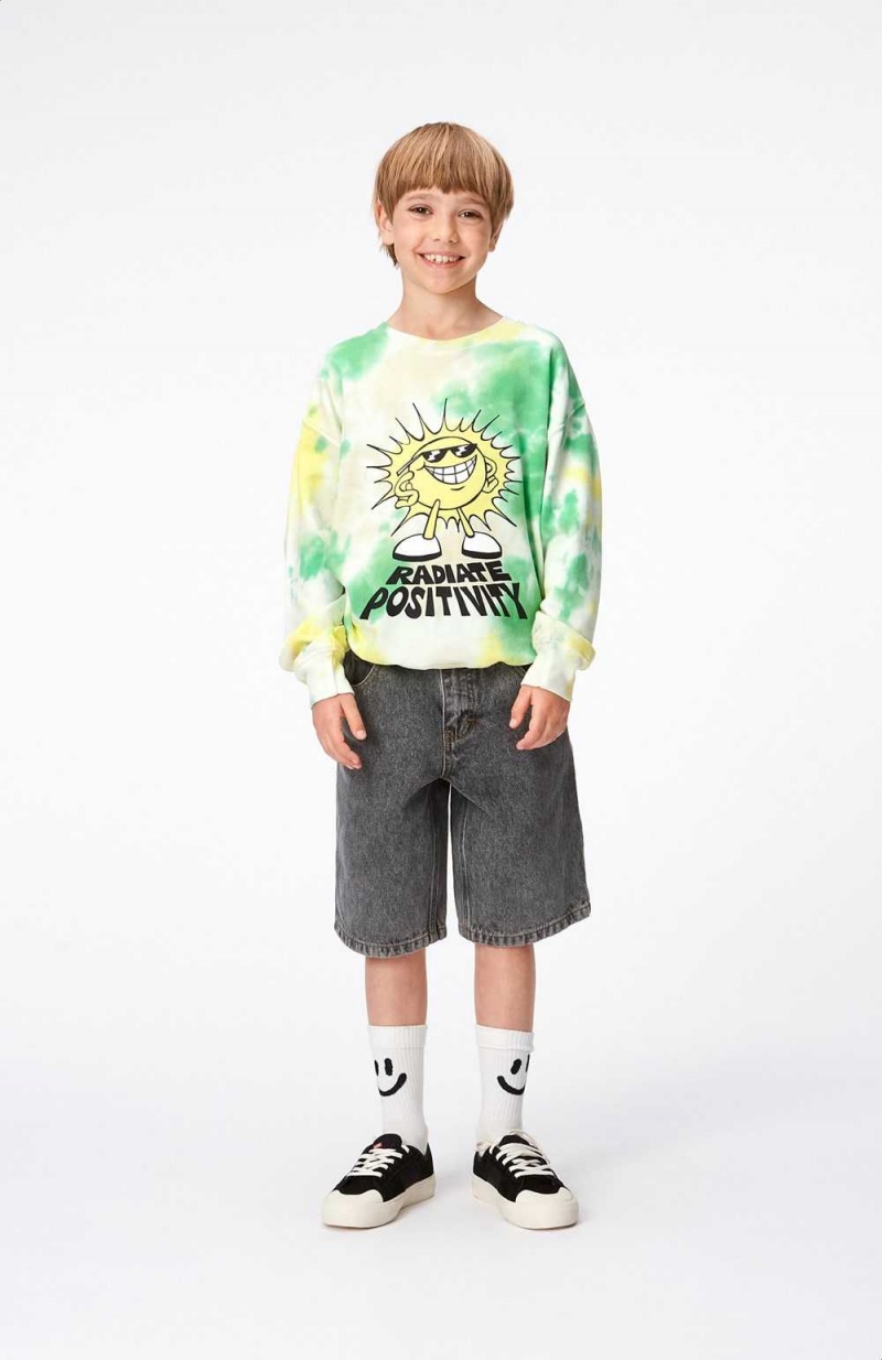 Molo Memphis Sweatshirts Cardigans Jongen Garden Dye | NL0000749