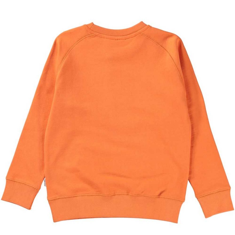 Molo Mike Sweatshirts Cardigans Jongen Ember | NL0000742