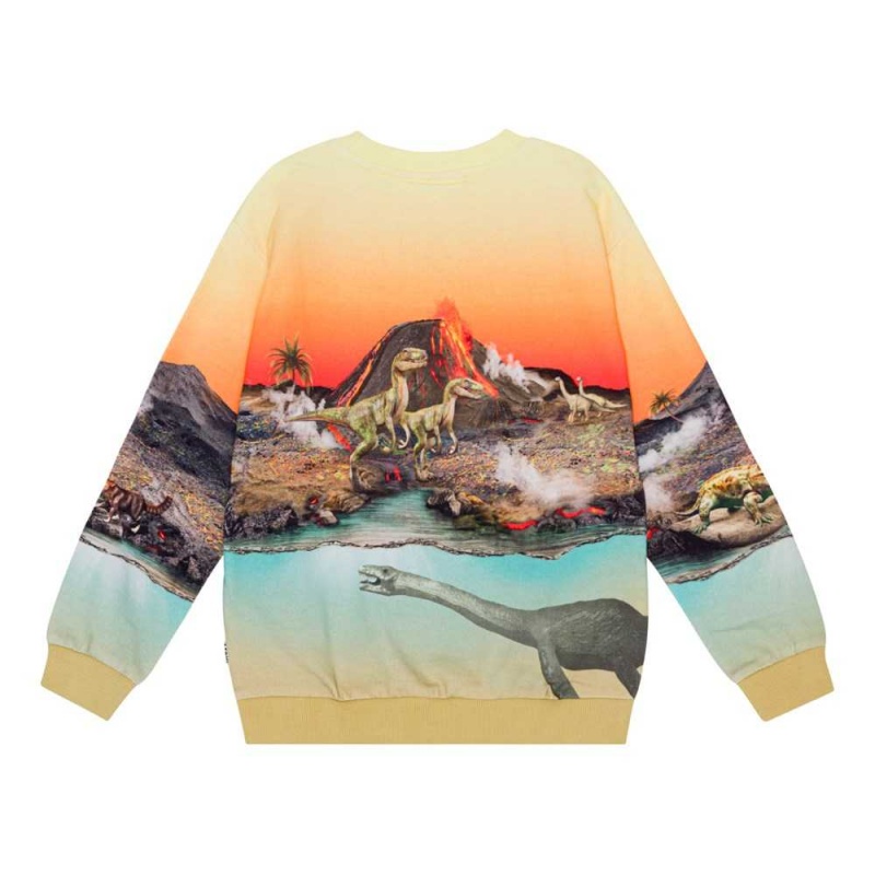 Molo Miksi Sweatshirts Cardigans Jongen Volcano Dinos | NL0000743