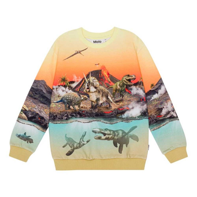 Molo Miksi Sweatshirts Cardigans Jongen Volcano Dinos | NL0000743