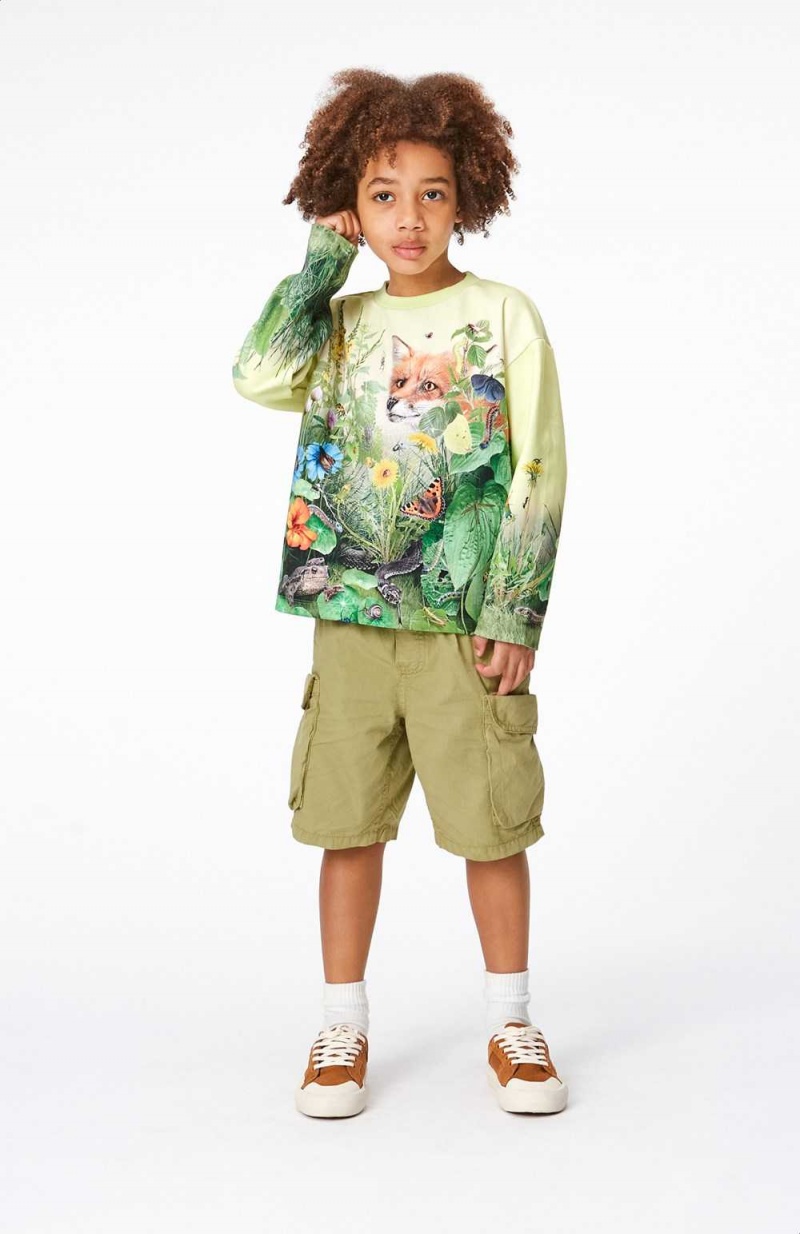 Molo Mountoo Sweatshirts Cardigans Jongen Wild Garden | NL0000754