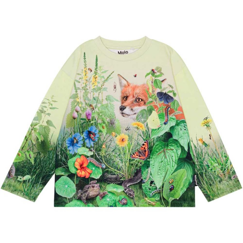 Molo Mountoo Sweatshirts Cardigans Jongen Wild Garden | NL0000754