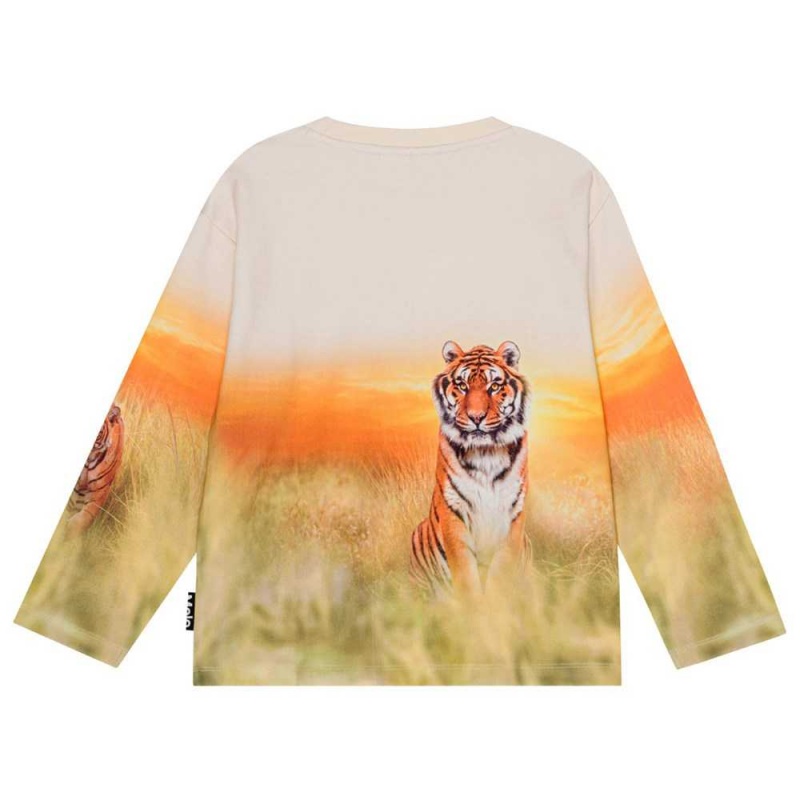 Molo Mountoo Sweatshirts Cardigans Jongen Sunrise Tiger | NL0000767