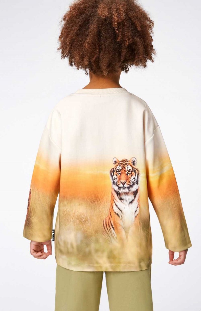 Molo Mountoo Sweatshirts Cardigans Jongen Sunrise Tiger | NL0000767