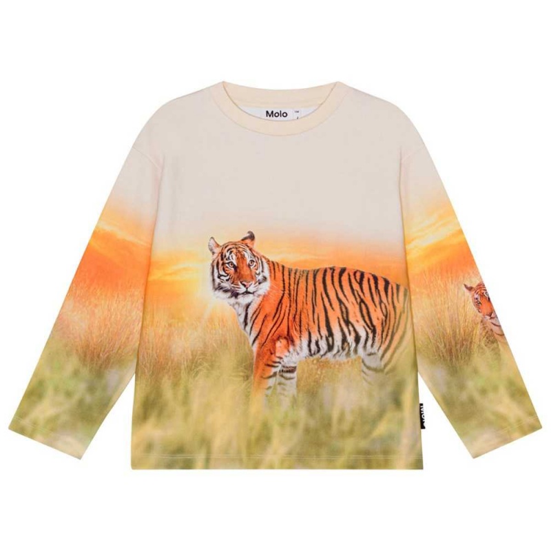 Molo Mountoo Sweatshirts Cardigans Jongen Sunrise Tiger | NL0000767