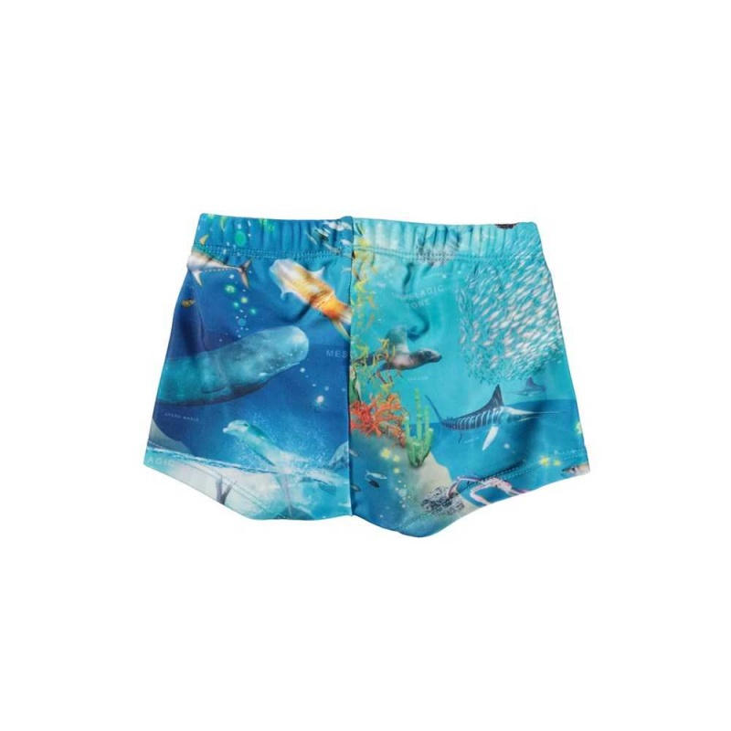 Molo Nansen Zwemshorts Ocean Zones | NL0001138