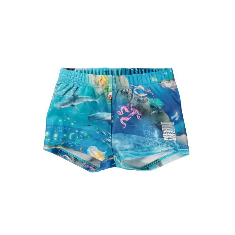 Molo Nansen Zwemshorts Ocean Zones | NL0001138