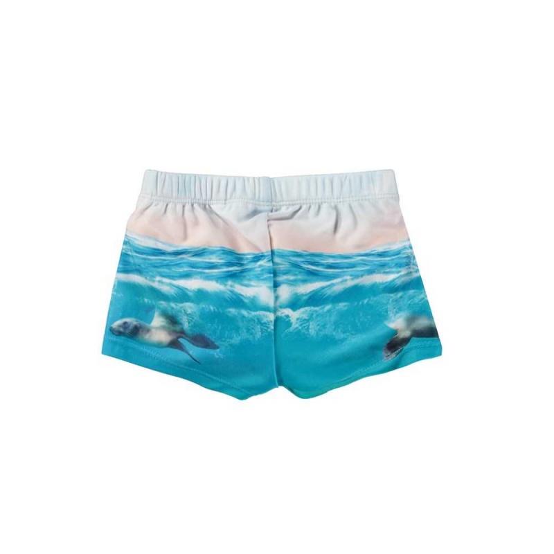 Molo Nansen Zwemshorts Sealion | NL0001115