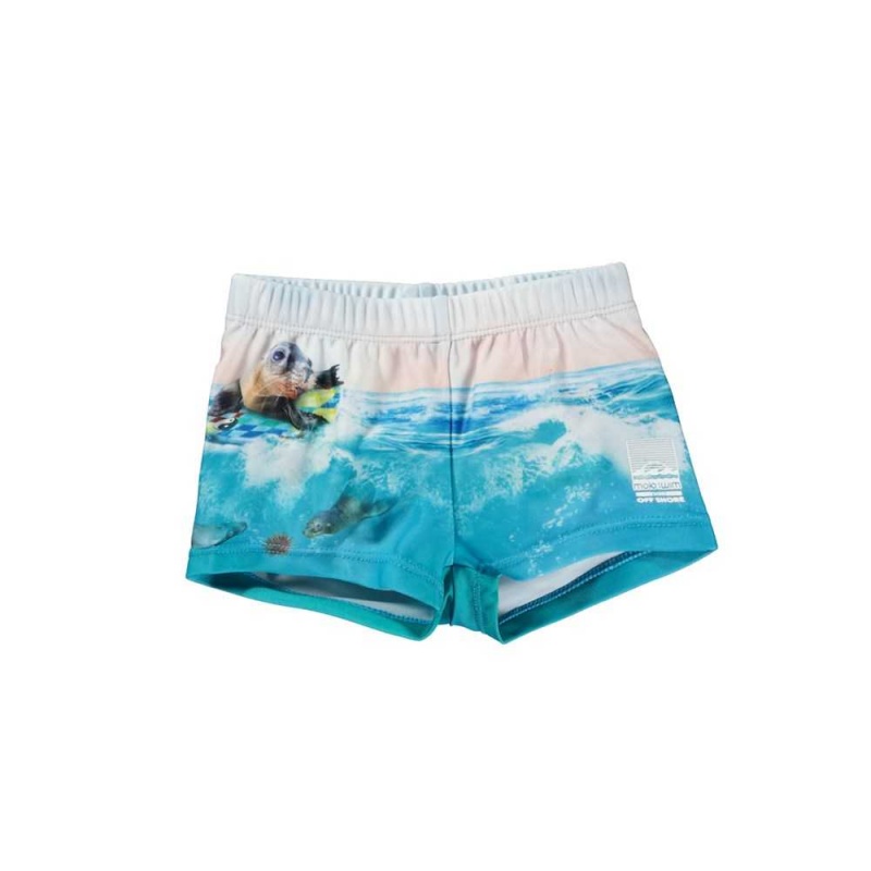 Molo Nansen Zwemshorts Sealion | NL0001115