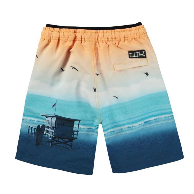 Molo Neal Zwemshorts Sunset Beach | NL0001147