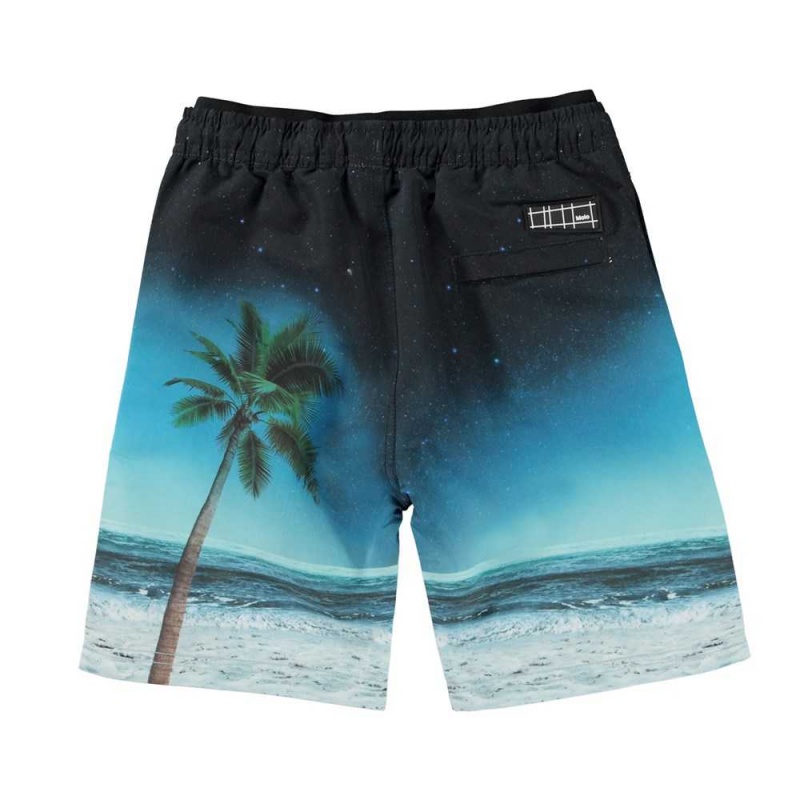 Molo Neal Zwemshorts Sunset Surfer | NL0001124