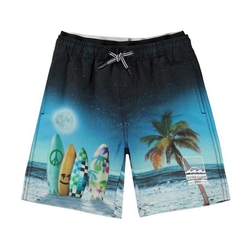 Molo Neal Zwemshorts Sunset Surfer | NL0001124