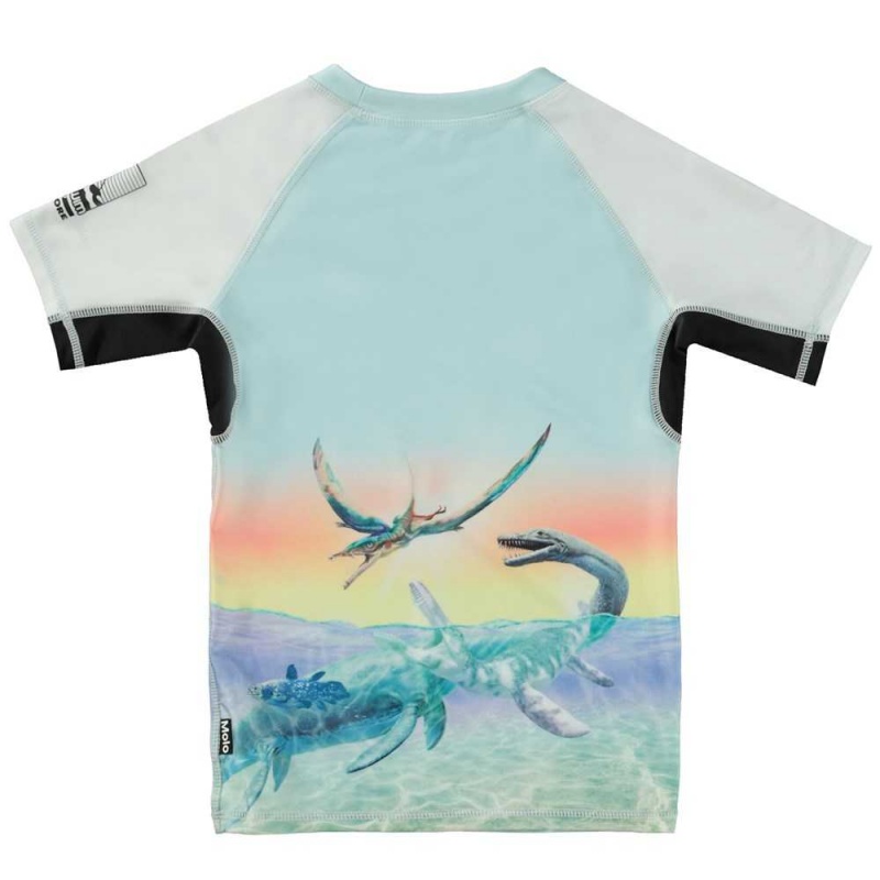 Molo Neptune Uv Zwemshirt Ancient Island | NL0001085