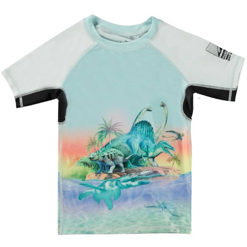 Molo Neptune Uv Zwemshirt Ancient Island | NL0001085