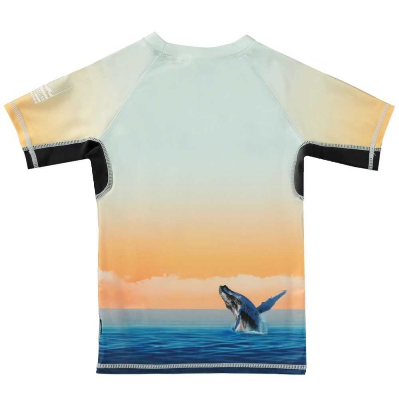 Molo Neptune Uv Zwemshirt Ocean Smile | NL0001089