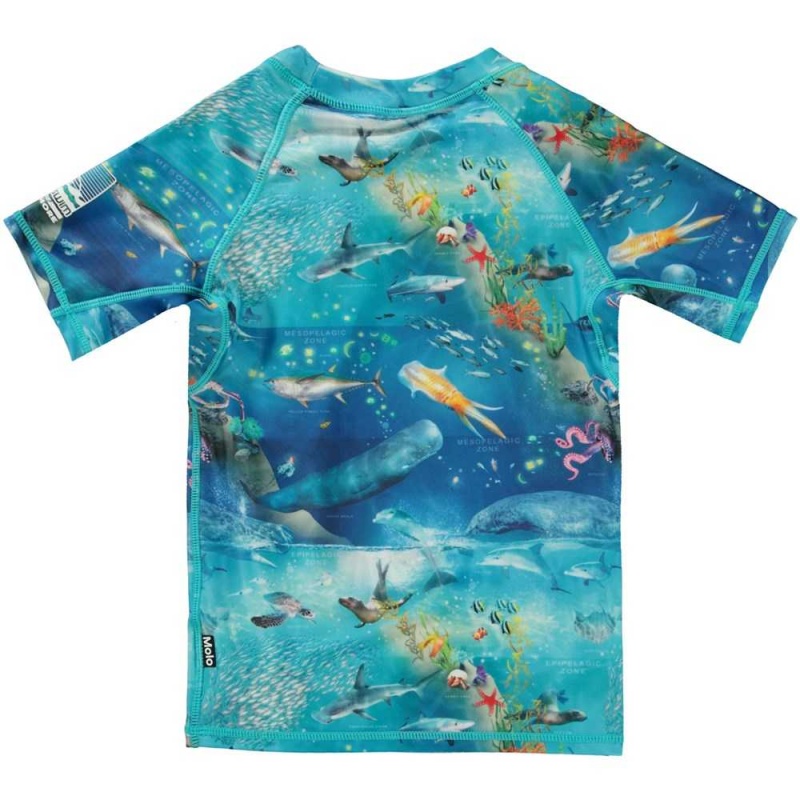 Molo Neptune Uv Zwemshirt Ocean Zones | NL0001086