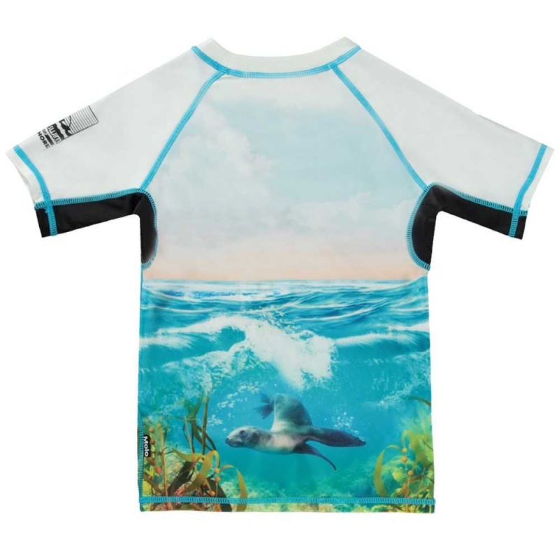 Molo Neptune Uv Zwemshirt Sealion | NL0001074