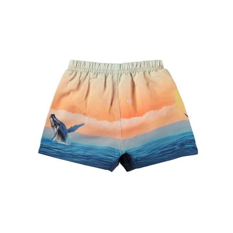 Molo Newton Zwemshorts Ocean Smile | NL0001149