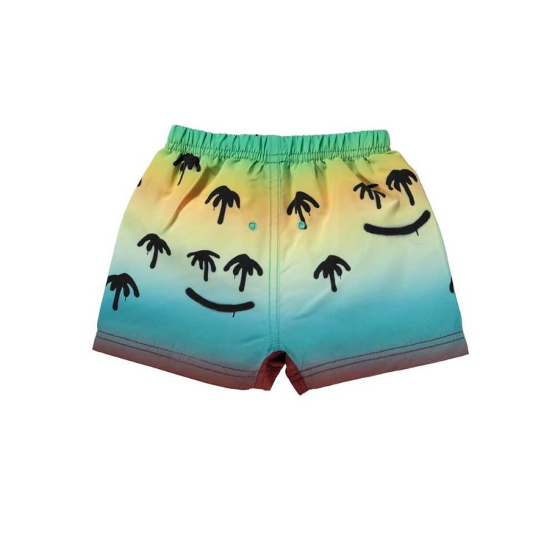 Molo Newton Zwemshorts Palm Spray | NL0001118