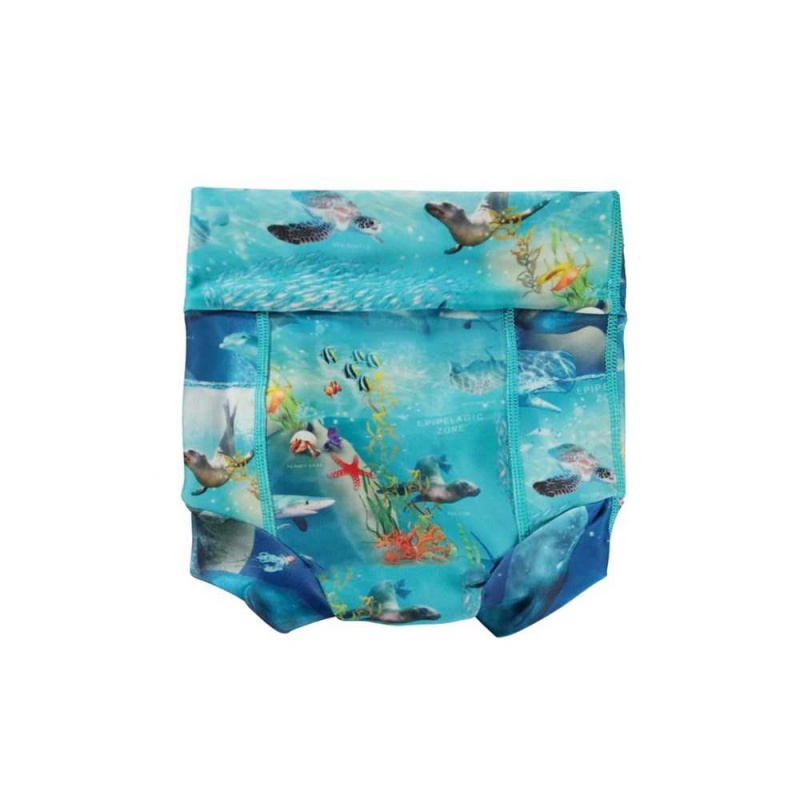 Molo Nick Zwemshorts Ocean Zones | NL0001135