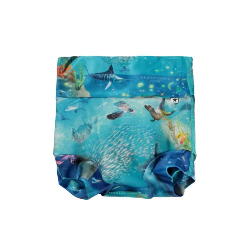 Molo Nick Zwemshorts Ocean Zones | NL0001135