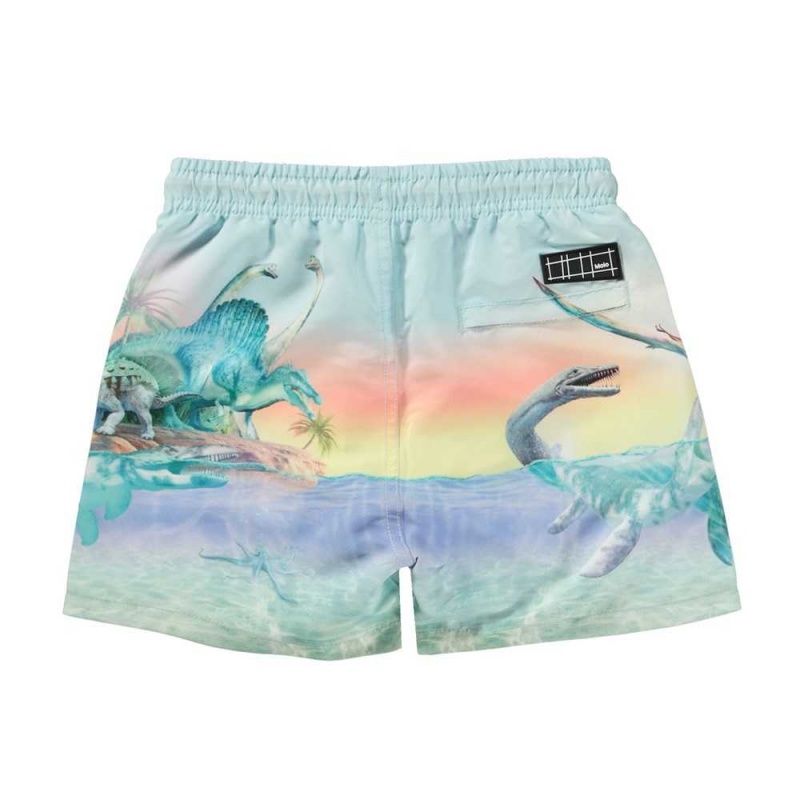 Molo Niko Zwemshorts Ancient Island | NL0001134