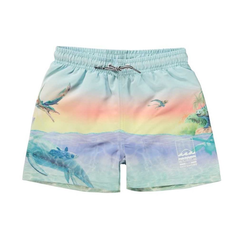 Molo Niko Zwemshorts Ancient Island | NL0001134