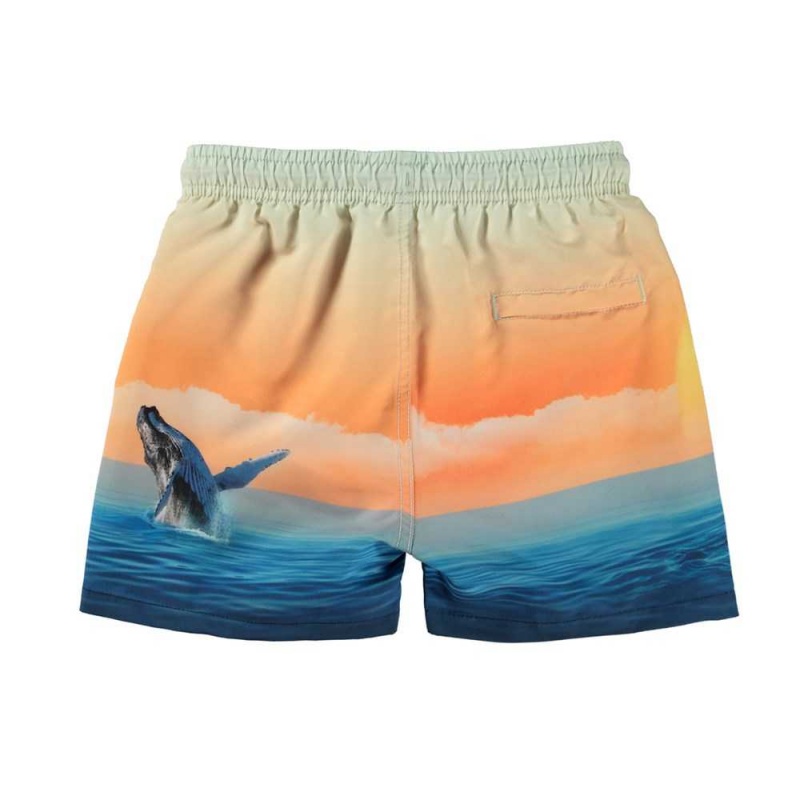 Molo Niko Zwemshorts Ocean Smile | NL0001143