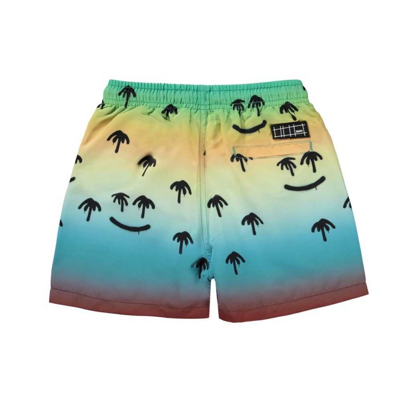 Molo Niko Zwemshorts Palm Spray | NL0001117