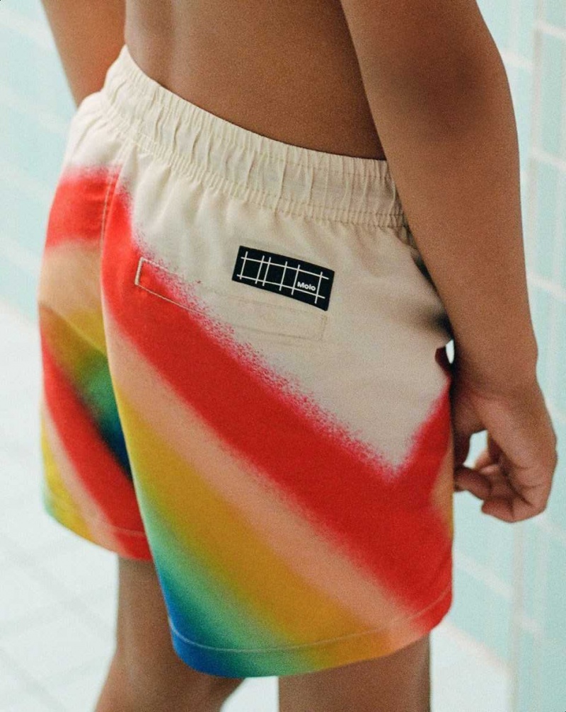 Molo Niko Zwemshorts Rainbow | NL0001175