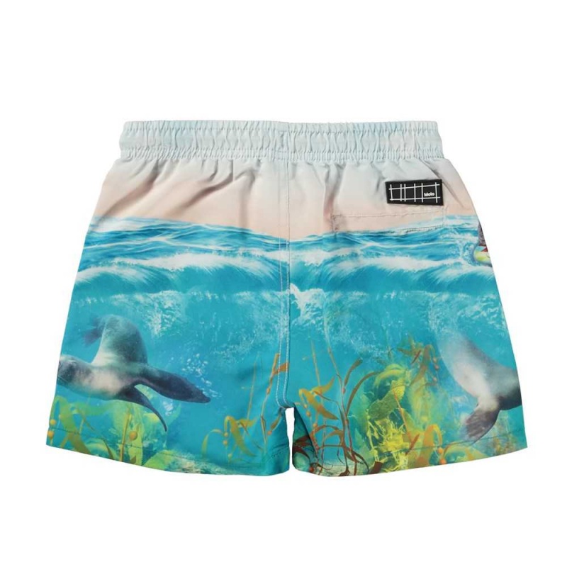 Molo Niko Zwemshorts Sealion | NL0001116