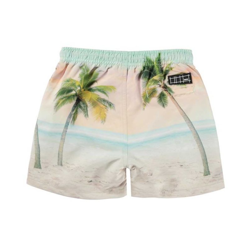 Molo Niko Zwemshorts Sunrise Surfer | NL0001120