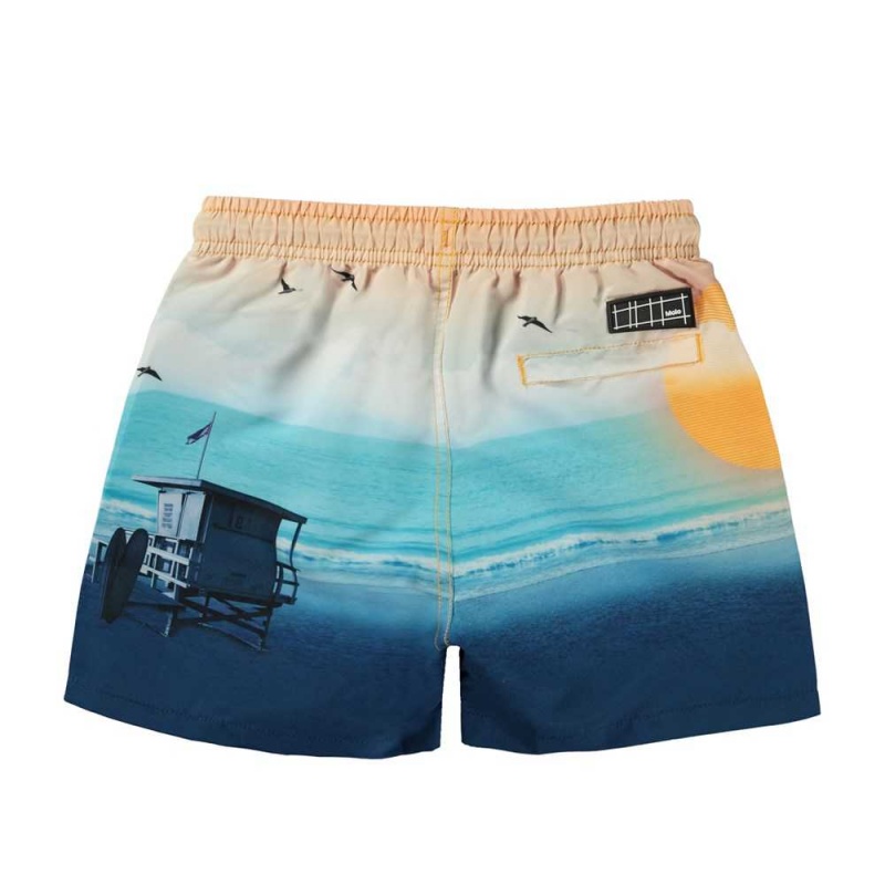 Molo Niko Zwemshorts Sunset Beach | NL0001145